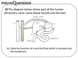 10.The diagram below shows part of the human
alimentary canal, some blood vessels and the liver.
(a) State the function of A and the fluid which is secreted into
the duodenum.
microQuestion
 