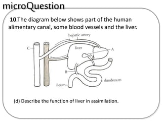 10.The diagram below shows part of the human
alimentary canal, some blood vessels and the liver.
(d) Describe the function of liver in assimilation.
microQuestion
 
