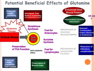 Potential Beneficial Effects of Glutamine 
Fuel for 
Enterocytes 
Nuclotide 
Synthesis 
Fuel for 
Lymphocytes 
Inflammatory Cytokine 
Maintenance of 
Intestinal 
Mucosal Barrier 
Maintenance of 
Lymphocyte 
Function 
Decreased Free 
Radical availability 
(Anti-inflammatory action) 
Glutathione 
Synthesis 
Enhanced 
insulin 
sensitivity 
Preservation 
of TCA Function 
GLN 
pool 
Glutamine 
Therapy 
Enhanced Heat 
Shock Protein 
Anti-catabolic 
effect 
Preservation of 
Muscle mass 
Reduced 
Translocation 
Enteric Bacteria 
or Endotoxins 
Reduction of 
Infectious 
complications 
Attenuation 
NF-kB 
? 
Preserved 
Cellular 
Energetics- 
ATP content 
GLN 
Pool 
Critical Illness 
 