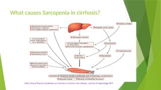Nutrition in Chronic Liver Disease: Consensus Statement of the Indian ...