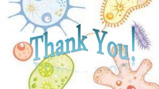 Nutrition in microorganisms