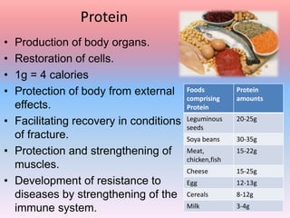 Protein
• Production of body organs.
• Restoration of cells.
• 1g = 4 calories
• Protection of body from external
effects.
• Facilitating recovery in conditions
of fracture.
• Protection and strengthening of
muscles.
• Development of resistance to
diseases by strengthening of the
immune system.
Foods
comprising
Protein
Protein
amounts
Leguminous
seeds
20-25g
Soya beans 30-35g
Meat,
chicken,fish
15-22g
Cheese 15-25g
Egg 12-13g
Cereals 8-12g
Milk 3-4g
 