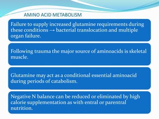 AMINO ACID METABOLISM
Failure to supply increased glutamine requirements during
these conditions → bacterial translocation and multiple
organ failure.
Following trauma the major source of aminoacids is skeletal
muscle.
Glutamine may act as a conditional essential aminoacid
during periods of catabolism.
Negative N balance can be reduced or eliminated by high
calorie supplementation as with entral or parentral
nutrition.
 