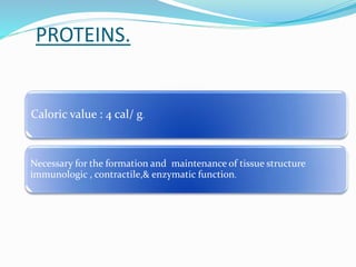 PROTEINS.
Caloric value : 4 cal/ g.
Necessary for the formation and maintenance of tissue structure
immunologic , contractile,& enzymatic function.
 