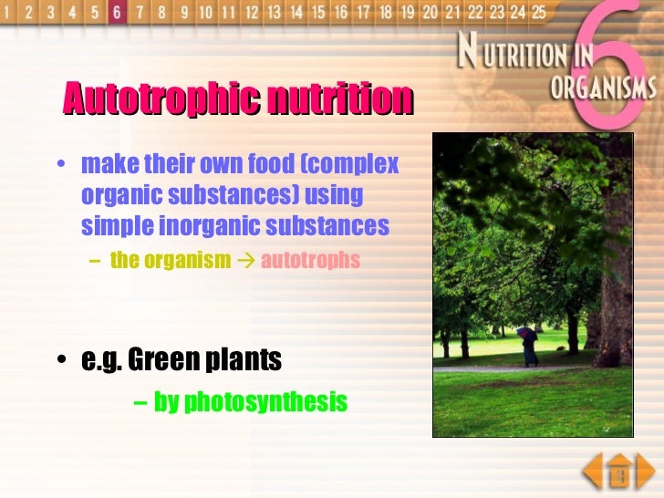 an organism able to form nutritional organic substances nutrition in organisms plants an organism able to form nutritional organic substances nutrition in organisms plants