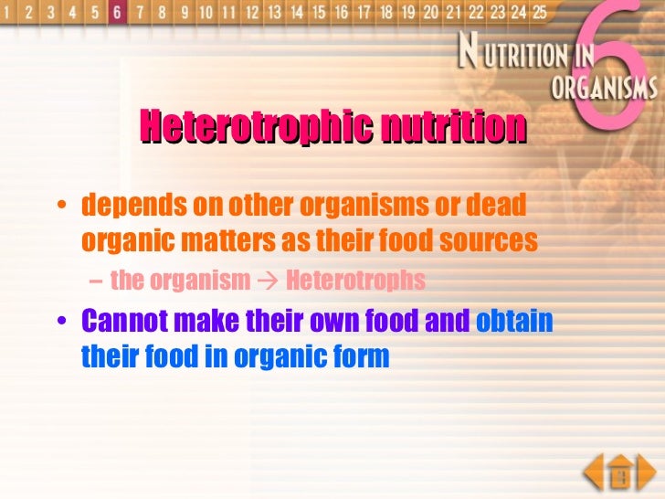 an organism able to form nutritional organic substances nutrition in organisms plants an organism able to form nutritional organic substances nutrition in organisms plants