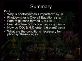 Summary Part I Why is photosynthesis important?  Pg 127 Photosynthesis Overall Equation  pg 120 Fate of glucose formed  pg 125-126 Leaf structure & function  Chap 7.2   pg   128-130 How do CO 2  & H 2 O enter the plant?  pg132 What are the conditions necessary for photosynthesis?  Pg 118 Part II Testing for starch  investigation 7.1 Factors affecting the rate of photosynthesis (ICT)  pg 123-124 Limiting factors  pg 121 