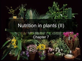 Nutrition in plants (II) Chapter 7 