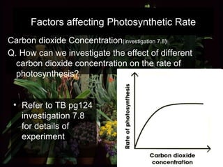 Carbon dioxide Concentration (investigation 7.8)   Q. How can we investigate the effect of different carbon dioxide concentration on the rate of photosynthesis? Factors affecting Photosynthetic Rate Refer to TB pg124 investigation 7.8 for details of experiment  