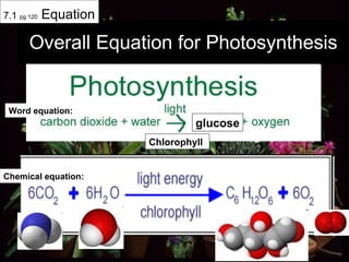 Overall Equation for Photosynthesis 7.1  pg 120  Equation glucose Chlorophyll Word equation: Chemical equation: 