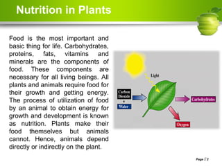 nutrition in plants class vii ncert based