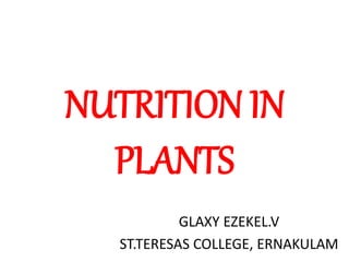 NUTRITION IN
PLANTS
GLAXY EZEKEL.V
ST.TERESAS COLLEGE, ERNAKULAM
 