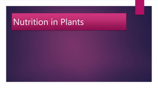 Nutrition in Plants
 
