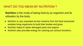 Nutrition in plants