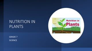 NUTRITION IN
PLANTS
GRADE 7
SCIENCE
 