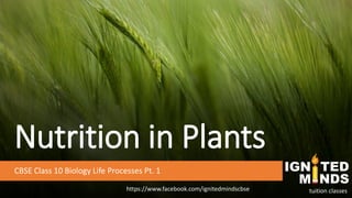 Nutrition in Plants
CBSE Class 10 Biology Life Processes Pt. 1
https://www.facebook.com/ignitedmindscbse tuition classes
 