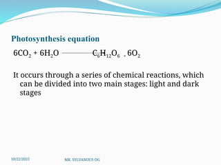 Nutrition in plants final.pptx dfgwsfgQEFq | PPTX