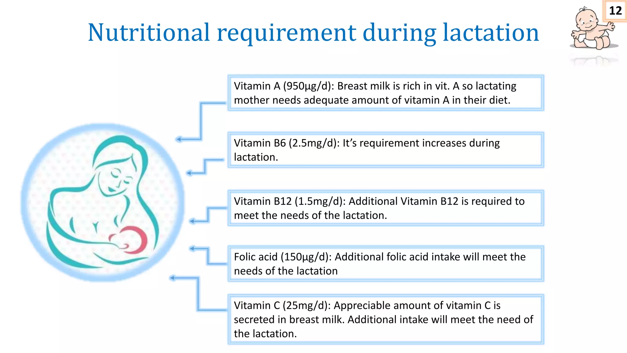Picture of Nutrition in pregnancy and lactation | PPTX