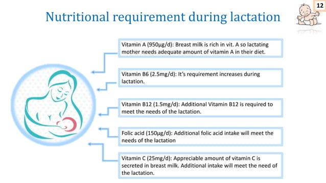 Nutrition in pregnancy and lactation | PPTX | Pregnancy | Reproductive ... - Cavy Calcium And Nutrition For Lactation