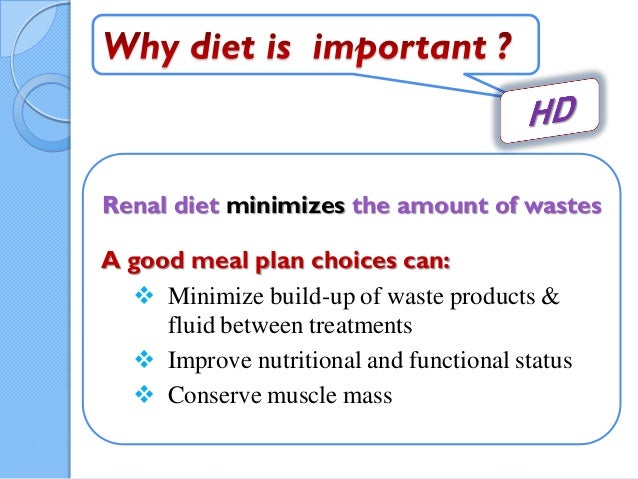 60 Gram Protein Renal Diet Plan