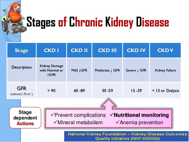 Diet Chart For Ckd Stage 5