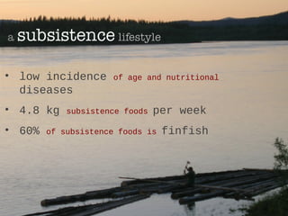 • low incidence of age and nutritional
diseases
• 4.8 kg subsistence foods per week
• 60% of subsistence foods is finfish
 