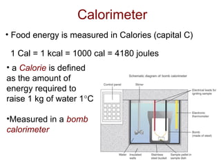 Calorimeter
• Food energy is measured in Calories (capital C)
1 Cal = 1 kcal = 1000 cal = 4180 joules
• a Calorie is defined
as the amount of
energy required to
raise 1 kg of water 1°C
•Measured in a bomb
calorimeter
 