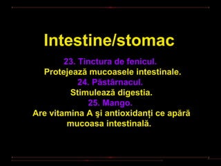Intestine/stomac
        23. Tinctura de fenicul.
  Protejează mucoasele intestinale.
            24. Păstârnacul.
         Stimulează digestia.
              25. Mango.
Are vitamina A şi antioxidanţi ce apără
         mucoasa intestinală.
 