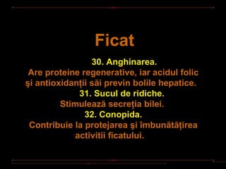 Ficat
                 30. Anghinarea.
 Are proteine regenerative, iar acidul folic
şi antioxidanţii săi previn bolile hepatice.
              31. Sucul de ridiche.
         Stimulează secreţia bilei.
               32. Conopida.
 Contribuie la protejarea şi îmbunătăţirea
             activitii ficatului.
 
