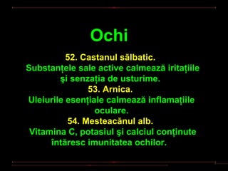 Ochi
          52. Castanul sălbatic.
Substanţele sale active calmează iritaţiile
        şi senzaţia de usturime.
               53. Arnica.
Uleiurile esenţiale calmează inflamaţiile
                 oculare.
          54. Mesteacănul alb.
 Vitamina C, potasiul şi calciul conţinute
      întăresc imunitatea ochilor.
 