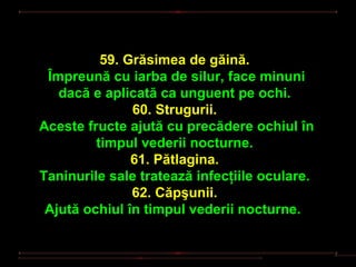 59. Grăsimea de găină.
 Împreună cu iarba de silur, face minuni
   dacă e aplicată ca unguent pe ochi.
               60. Strugurii.
Aceste fructe ajută cu precădere ochiul în
         timpul vederii nocturne.
               61. Pătlagina.
Taninurile sale tratează infecţiile oculare.
               62. Căpşunii.
 Ajută ochiul în timpul vederii nocturne.
 