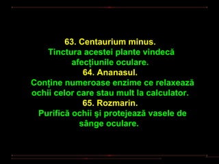 63. Centaurium minus.
    Tinctura acestei plante vindecă
          afecţiunile oculare.
              64. Ananasul.
Conţine numeroase enzime ce relaxează
ochii celor care stau mult la calculator.
              65. Rozmarin.
 Purifică ochii şi protejează vasele de
             sânge oculare.
 