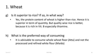 1. Wheat
g) Is it superior to rice? If so, in what way?
• Yes, the protein content of wheat is higher than rice. Hence it is
superior in term of quantity. But quality wise rice is better,
because it is rich in Vit. B especially thiamine.
h) What is the preferred way of consuming
• It is advisable to consume whole wheat floor (Atta) and not the
processed and refined white flour (Maida)
22-Jul-17 SPOTTERS 10
 