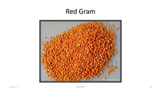 Red Gram
22-Jul-17 SPOTTERS 32
 