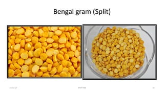 Bengal gram (Split)
22-Jul-17 SPOTTERS 42
 
