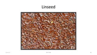 Linseed
22-Jul-17 SPOTTERS 46
 
