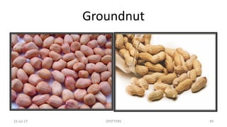 Groundnut
22-Jul-17 SPOTTERS 49
 