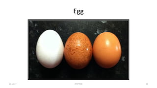 Egg
22-Jul-17 SPOTTERS 52
 