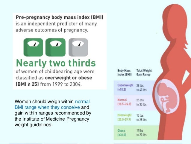 Nutrition & Lifestyle for a healthy pregnancy outcome