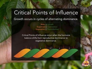 Critical Points of Influence
Male | Female
Expansion | Contraction
Vegetative | Reproductive
Growth occurs in cycles of al...