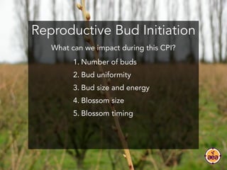 Reproductive Bud Initiation
1. Number of buds
2. Bud uniformity
3. Bud size and energy
4. Blossom size
5. Blossom timing
W...