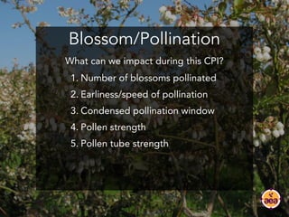 Blossom/Pollination
1. Number of blossoms pollinated
2. Earliness/speed of pollination
3. Condensed pollination window
4. ...