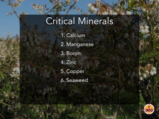 Critical Minerals
1. Calcium
2. Manganese
3. Boron
4. Zinc
5. Copper
6. Seaweed
 