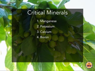 Critical Minerals
1. Manganese
2. Potassium
3. Calcium
4. Boron
 