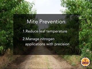 Curated visual reference: Gallery Detail: Nutrition Management For Mite Infestations