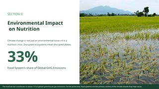 SECTION II
Environmental Impact
on Nutrition
Climate change is not just an environmental issue—it is a
nutrition crisis. Disrupted ecosystems mean disrupted plates.
33%
Food System's share of Global GHG Emissions
The food we eat contributes to about 1/3 of global greenhouse gas emissions. At the same time, food systems are the primary victims of the climate shocks they help cause.
 