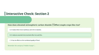 How does elevated atmospheric carbon dioxide ( ) affect staple crops like rice?
Remember the concept of "Hidden Hunger"...
Interactive Check: Section 2
 