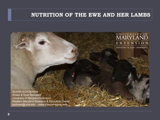 NUTRITION OF THE EWE AND HER LAMBS
SUSAN SCHOENIAN
Sheep & Goat Specialist
University of Maryland Extension
Western Maryland Research & Education Center
sschoen@umd.edu - www.sheepandgoat.com
 