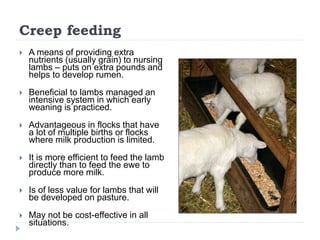Creep feeding
 A means of providing extra
nutrients (usually grain) to nursing
lambs – puts on extra pounds and
helps to ...