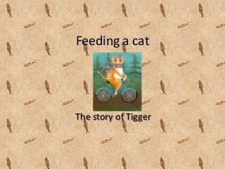 Feeding a cat
The story of Tigger
 